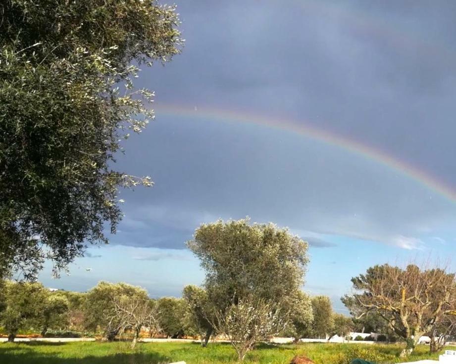 Villa Degli Ulivi Ceglie Messapica Buitenkant foto