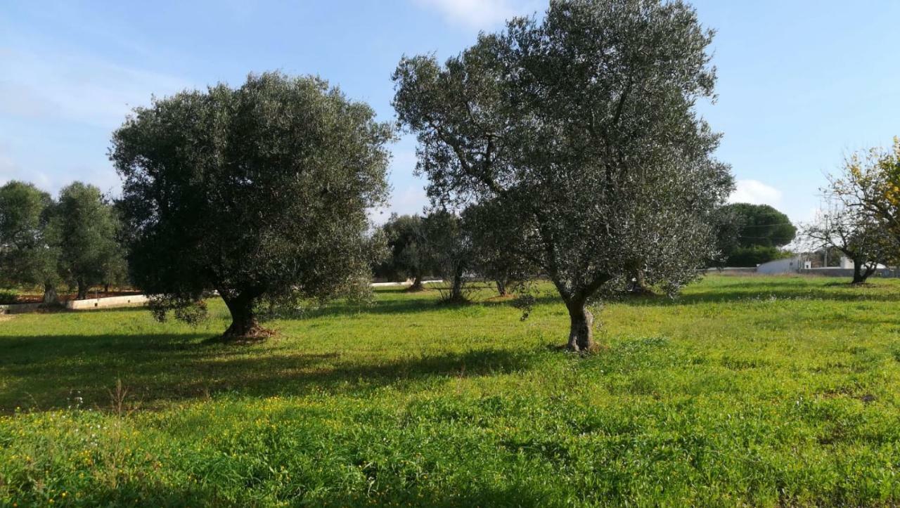 Villa Degli Ulivi Ceglie Messapica Buitenkant foto